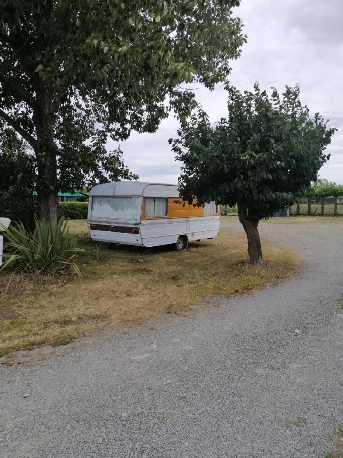 Rangiora Eco Holiday Park Fernside Luaran gambar